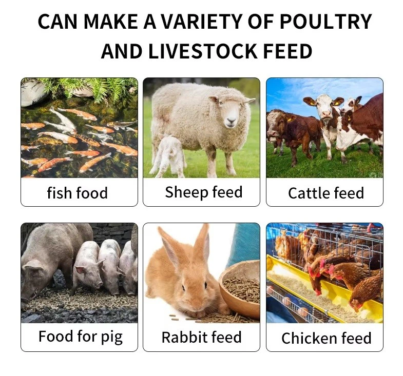 feed pellet-1 feed pellet-1